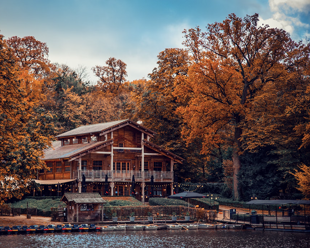 Chalet Robinson Autumn Large park View